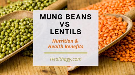 are mung beans similar to lentils